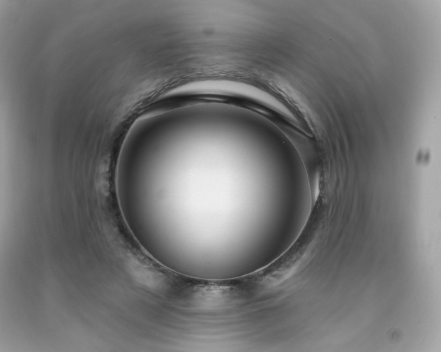 X0000091930497200709121601