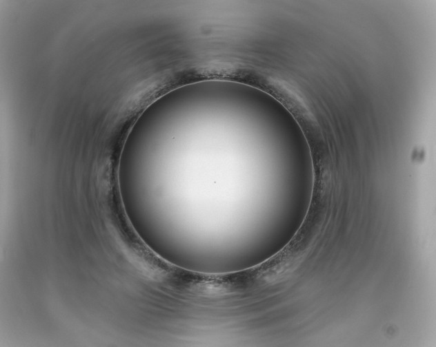 X0000091930498200709121601