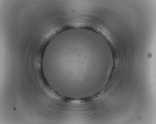 X0000091930499200709121601