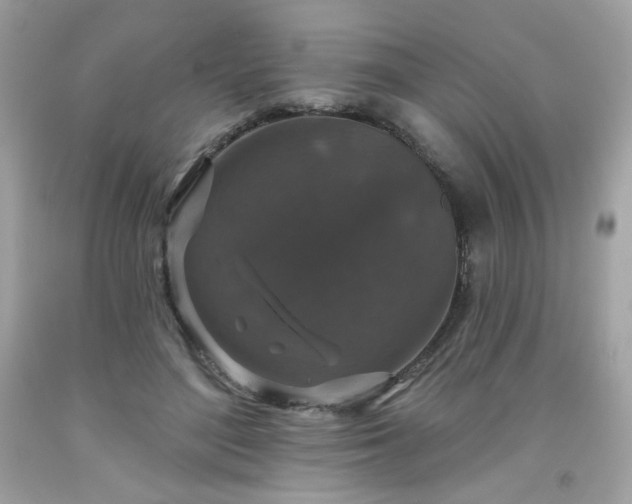 X0000091930500200709121601