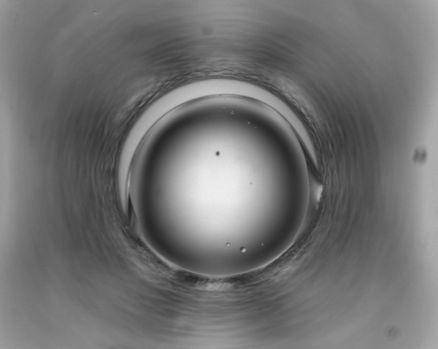 X0000091930501200709121601