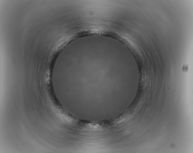 X0000091930502200709121601