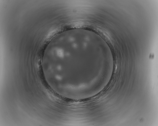 X0000091930503200709121601