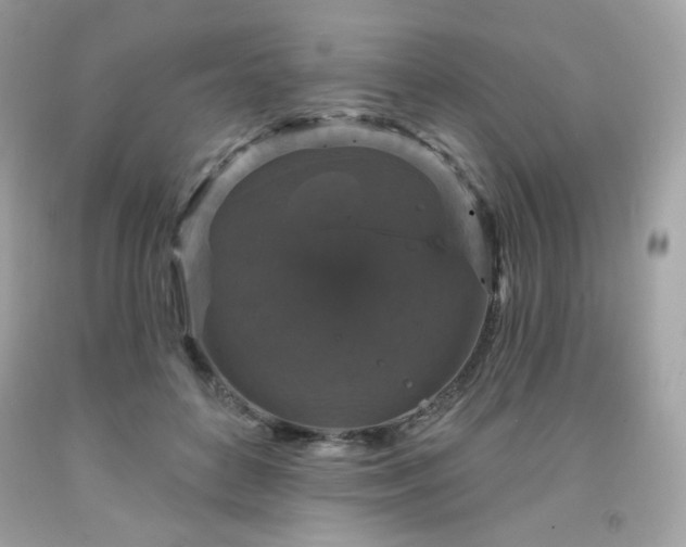X0000091930504200709121601
