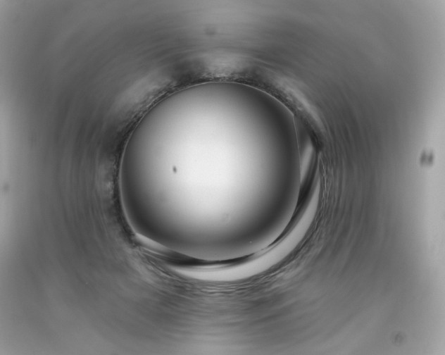 X0000091930505200709121601