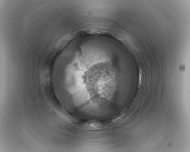 X0000091930506200709121601