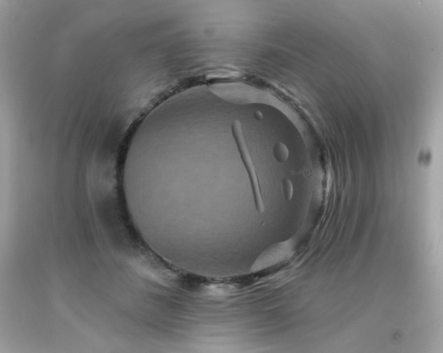 X0000091930508200709121601