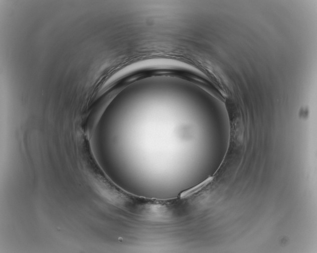 X0000091930509200709121601