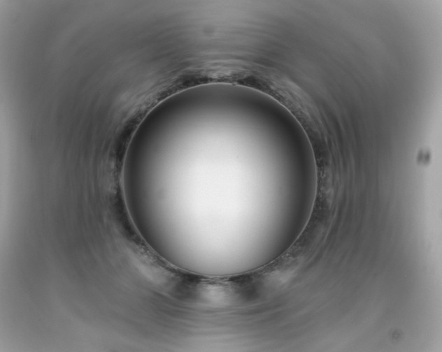 X0000091930510200709121601