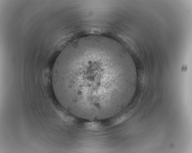 X0000091930511200709121601