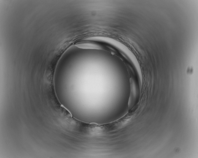 X0000091930513200709121601