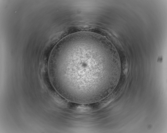X0000091930515200709121601