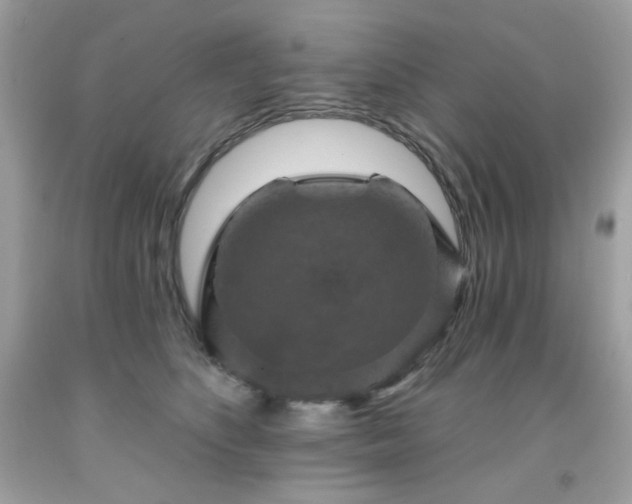 X0000091930516200709121601