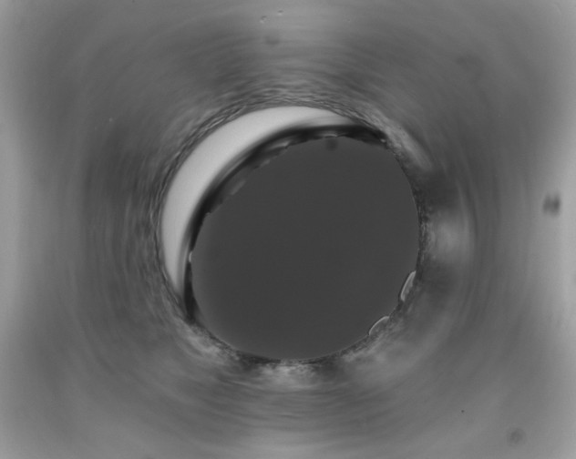 X0000091930517200709121601