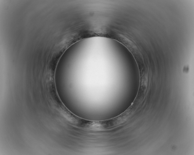 X0000091930518200709121601