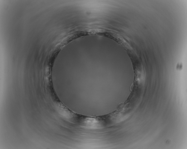 X0000091930519200709121601