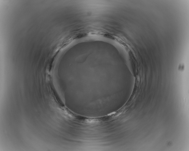 X0000091930520200709121601