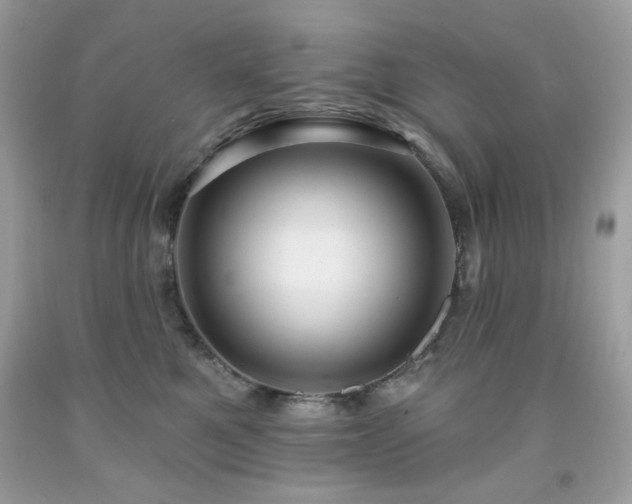 X0000091930521200709121601