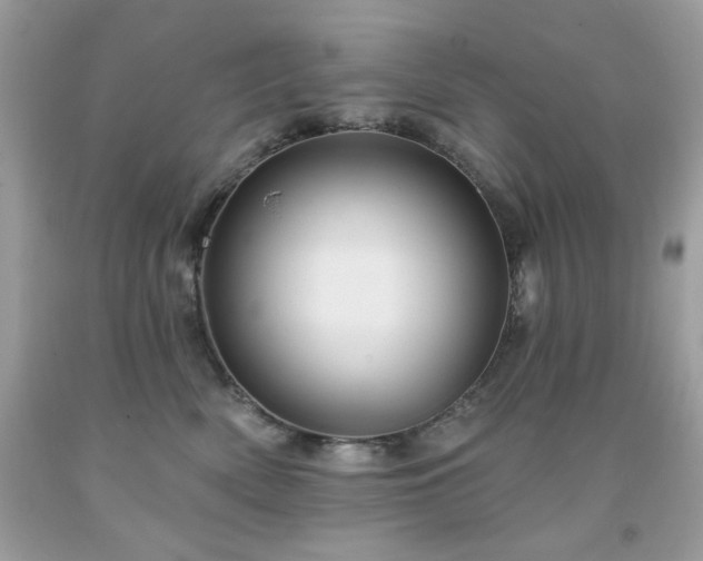 X0000091930522200709121601