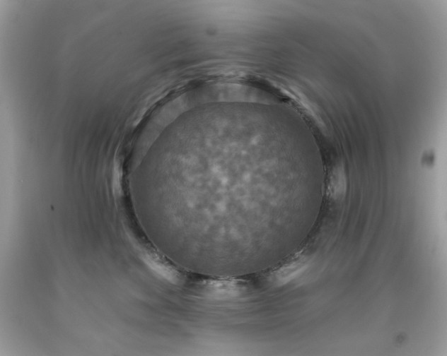 X0000091930524200709121601