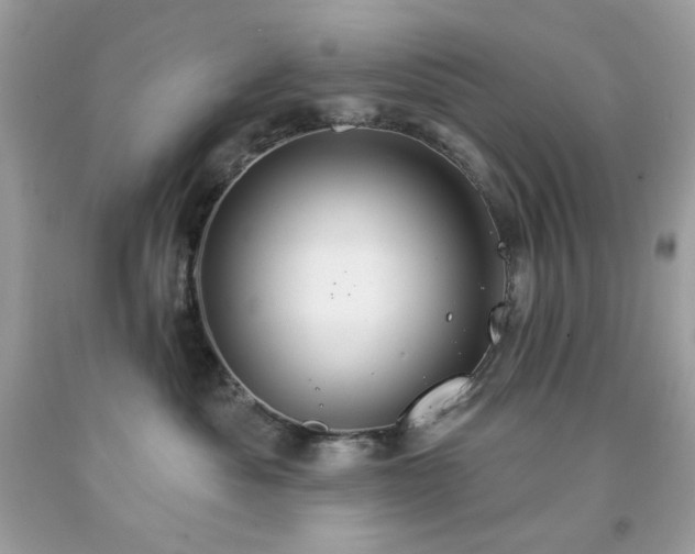 X0000091930525200709121601
