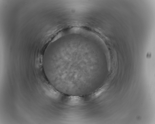 X0000091930528200709121601