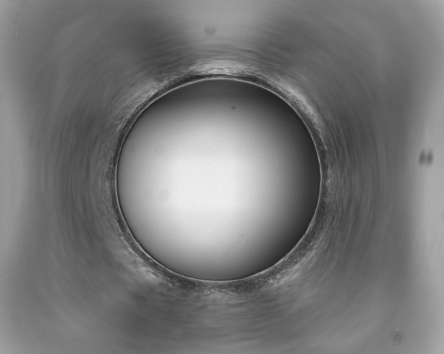 X0000091930529200709121600