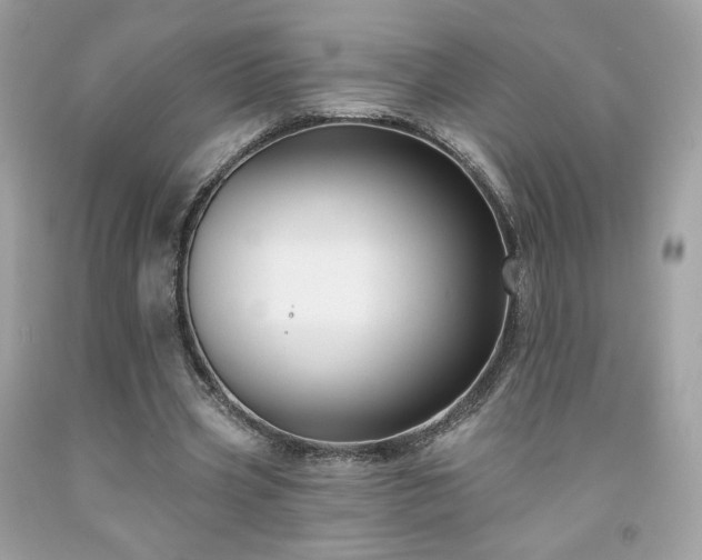 X0000091930533200709121601
