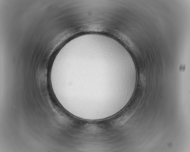X0000091930534200709121601