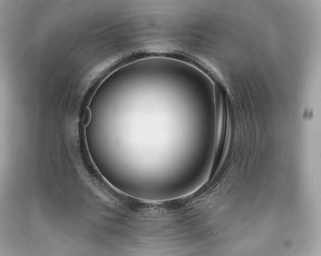 X0000091930535200709121601