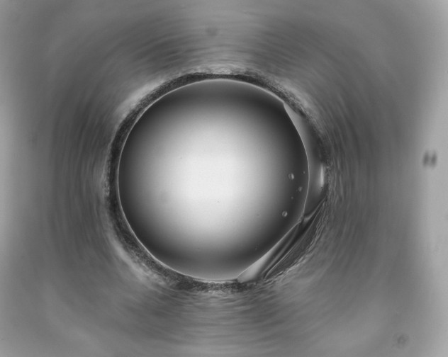 X0000091930536200709121601
