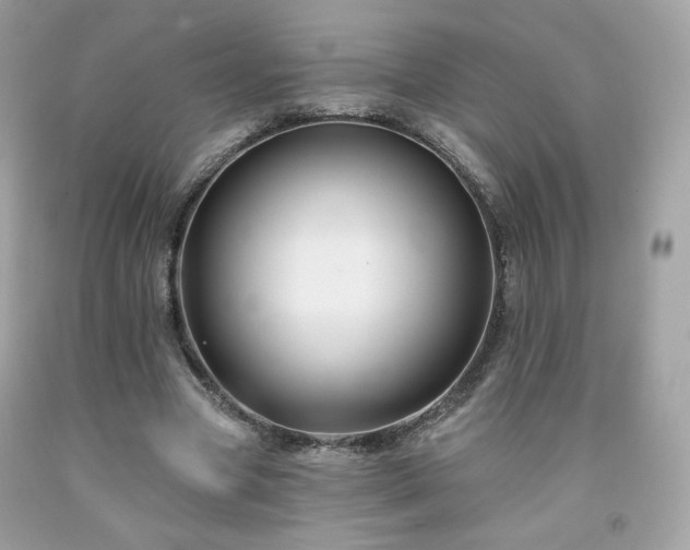 X0000091930537200709121601