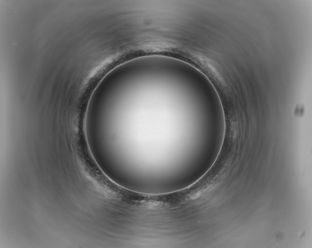 X0000091930539200709121601