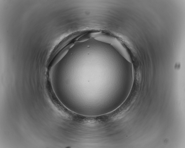 X0000091930540200709121601