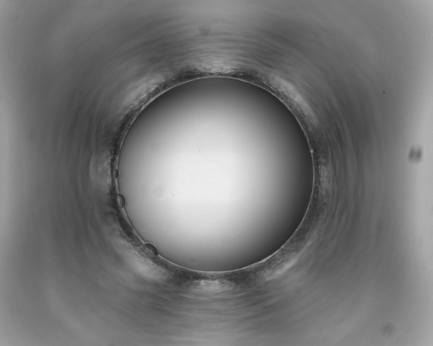 X0000091930541200709121601