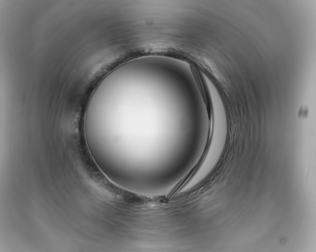 X0000091930543200709121601
