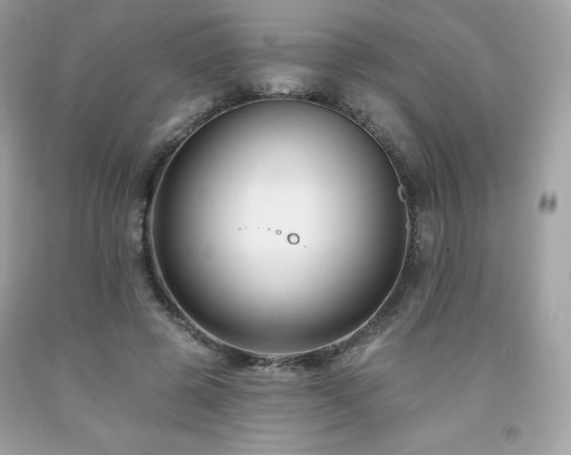 X0000091930545200709121601