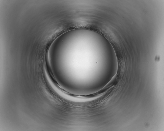 X0000091930546200709121601