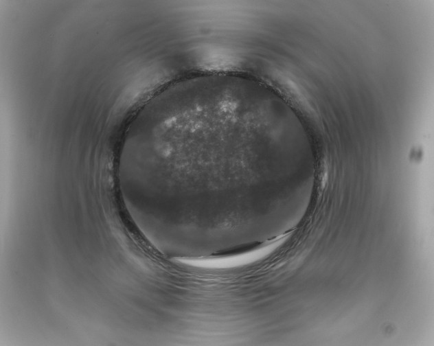 X0000091930547200709121601