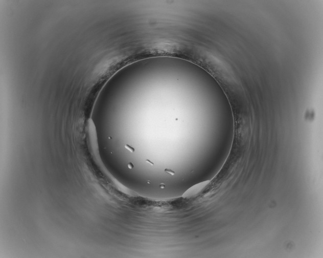 X0000091930548200709121601