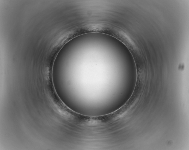 X0000091930549200709121601