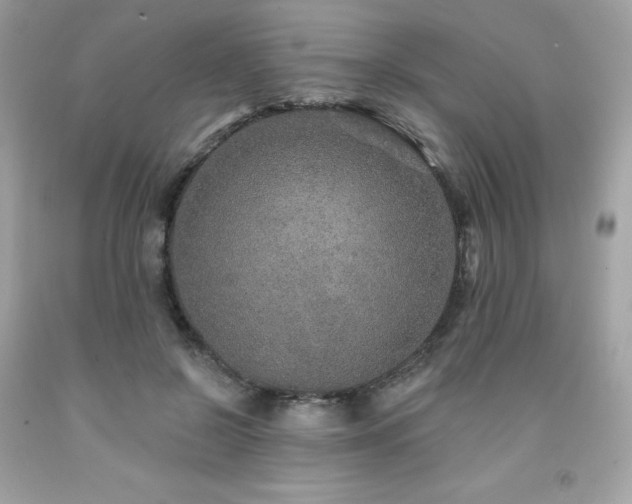 X0000091930550200709121601