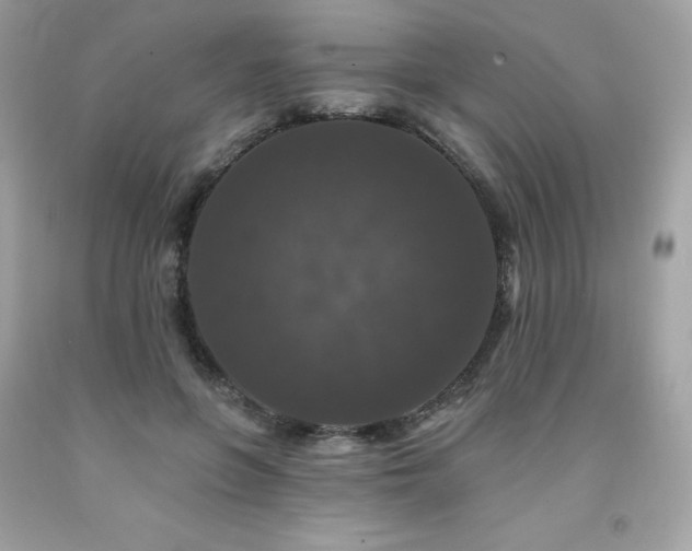 X0000091930551200709121601
