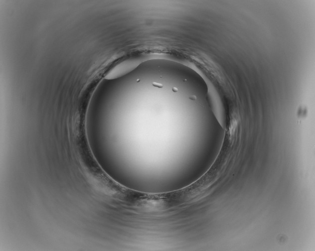 X0000091930552200709121601