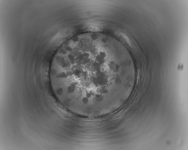 X0000091930553200709121601