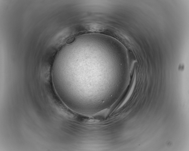 X0000091930554200709121601