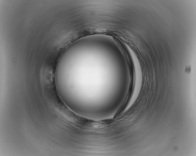 X0000091930555200709121601