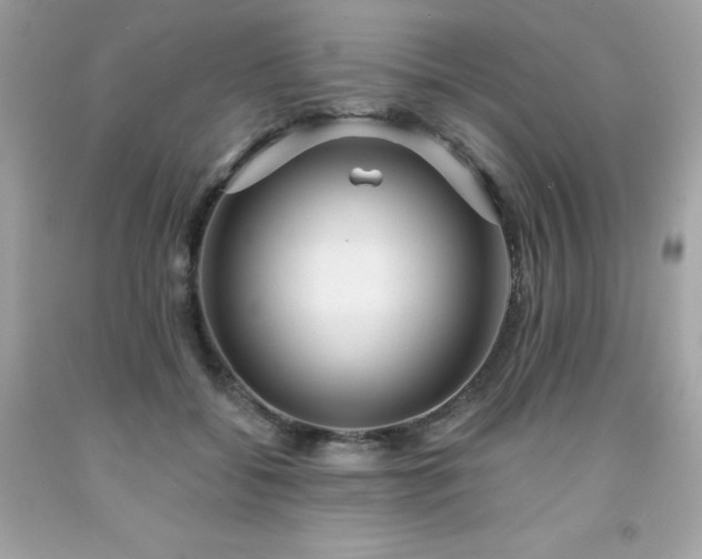 X0000091930556200709121601