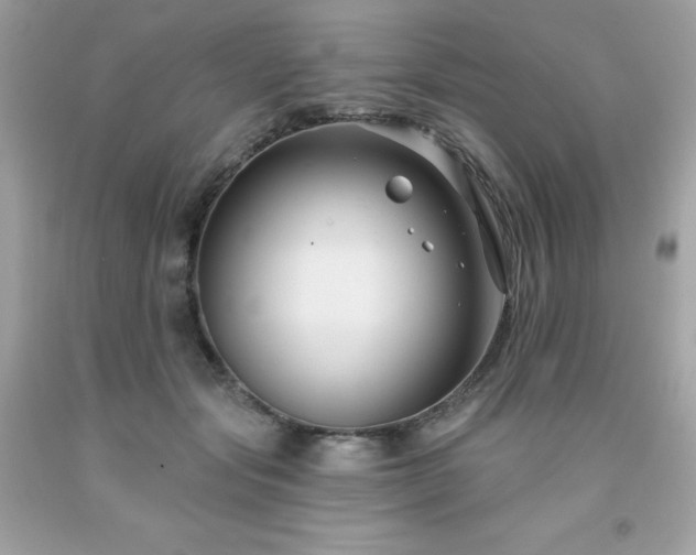 X0000091930557200709121601
