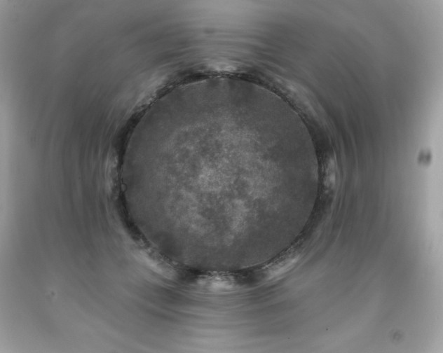X0000091930559200709121601